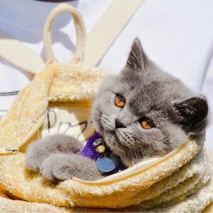 Meet your Posher, Bianca